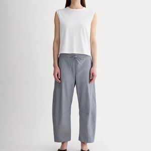 Everlane Easy Barrel Slouchy Pant Women Size XS Oversized Striped Blue